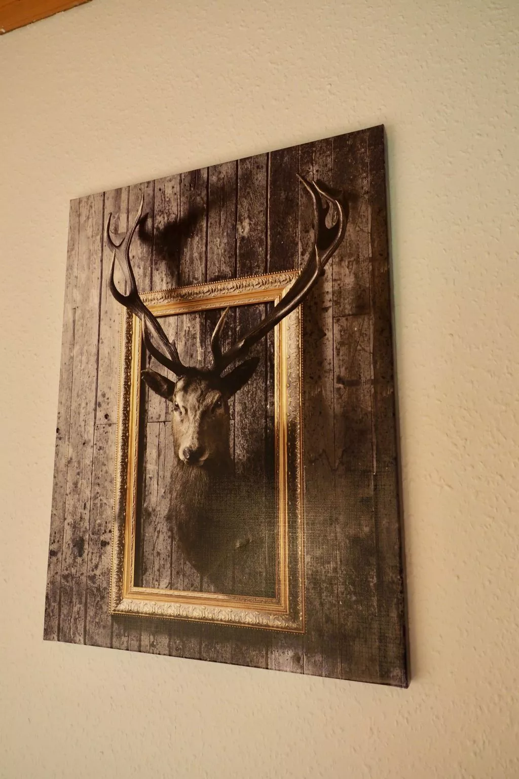 Ferienwohnunglatrop-Outside