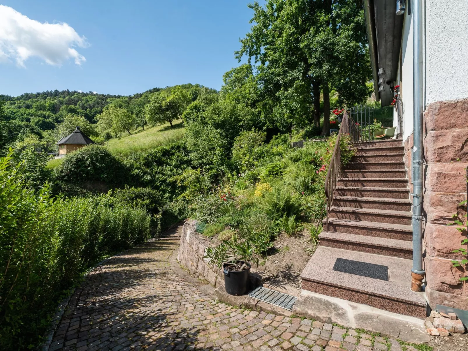 Schwarzwald Königin-Dehors