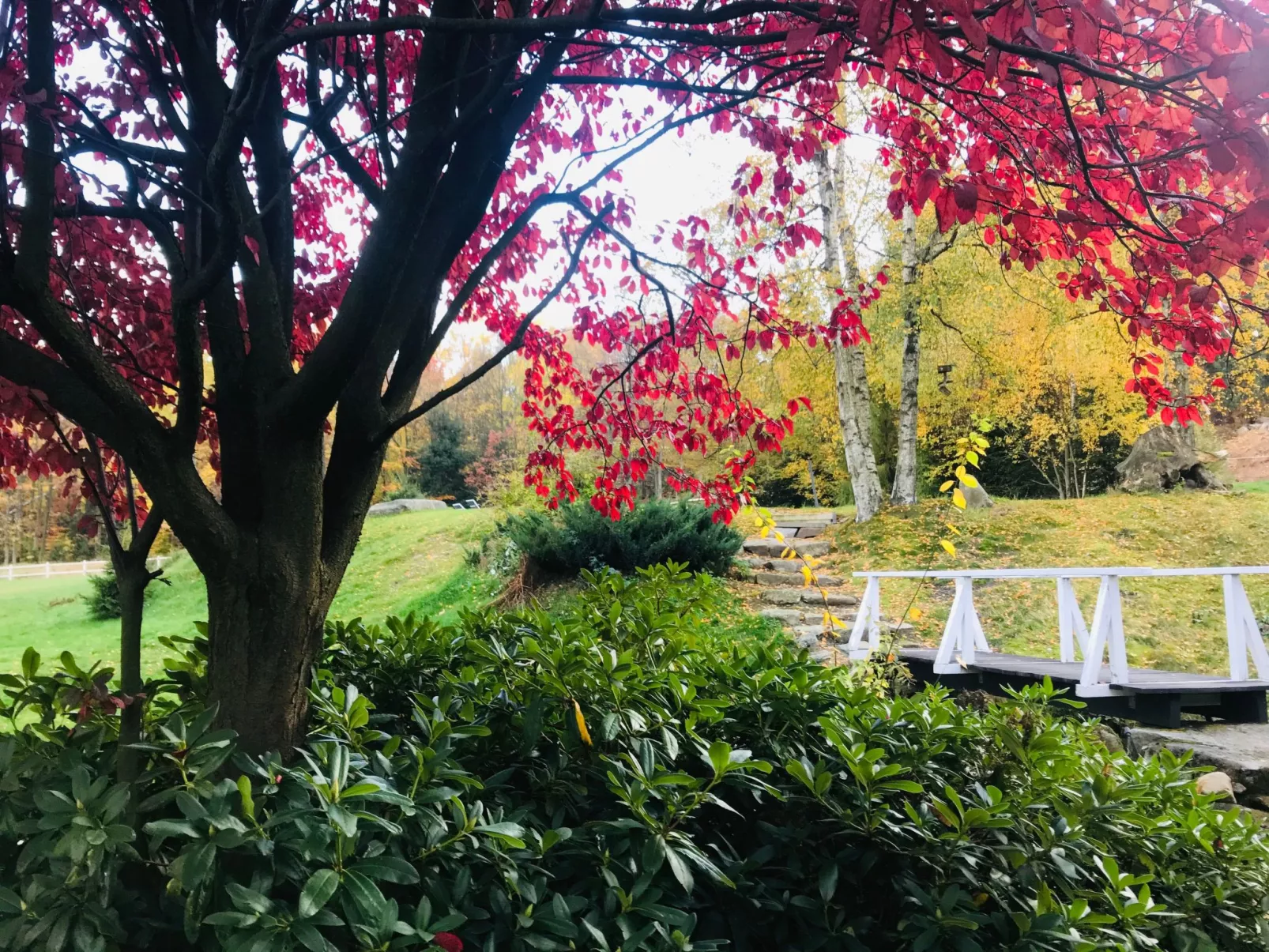 Exklusives Ferienhaus mit Schwimmbad direkt am Wasser-Dehors