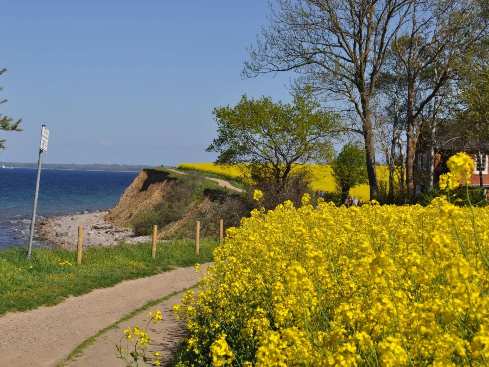 ToSi - 35 Meter zum tosenden Meer-Dehors