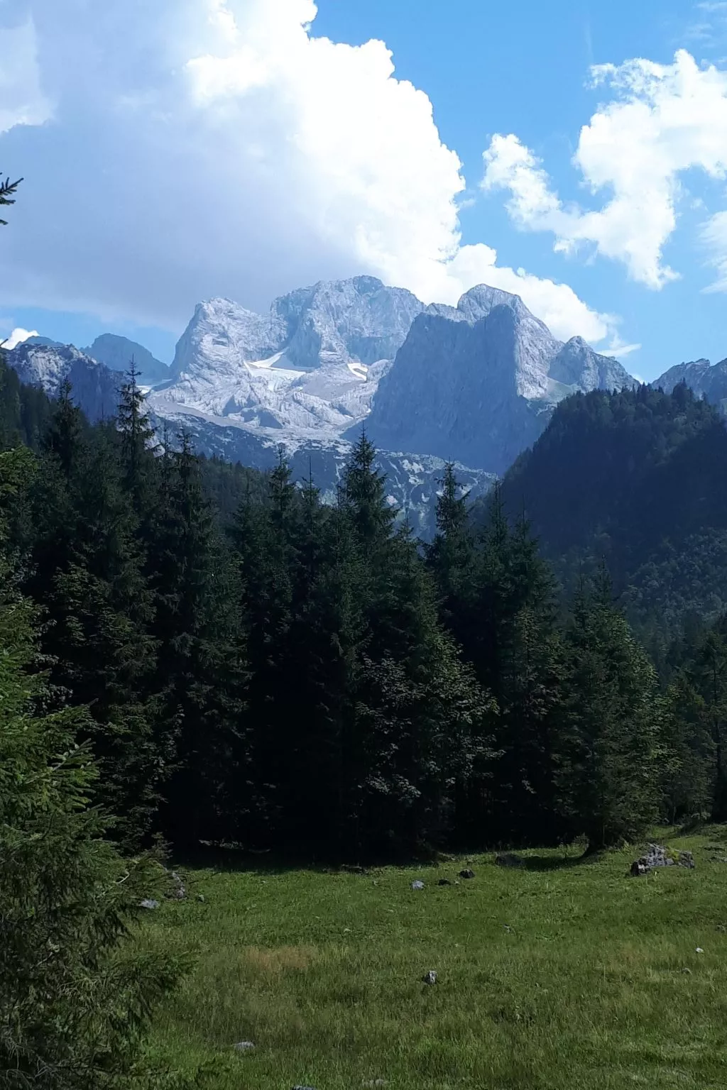 Deluxapartment Simon-Image-tags.info