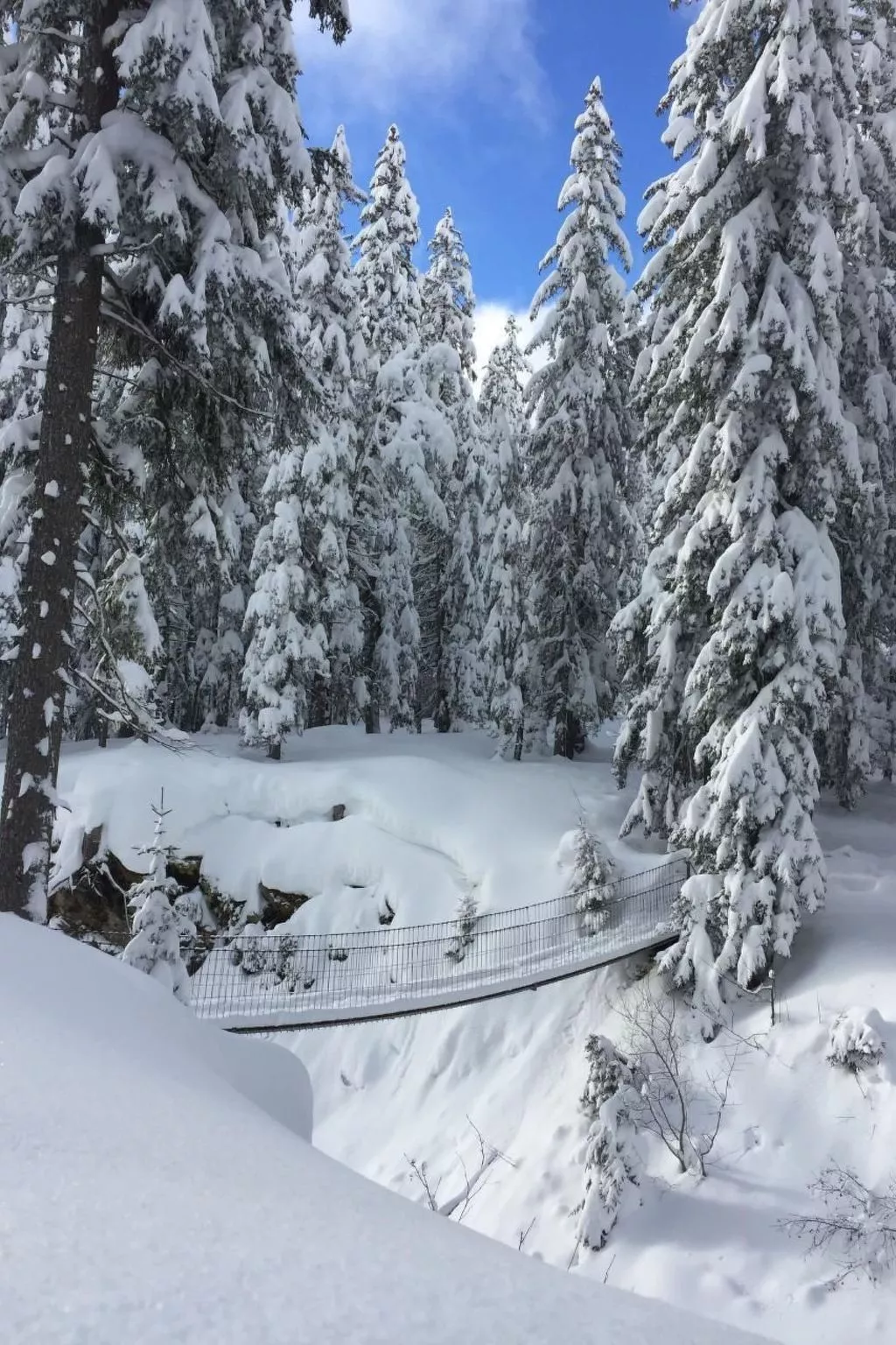 Mit Bergblick-Image-tags.info