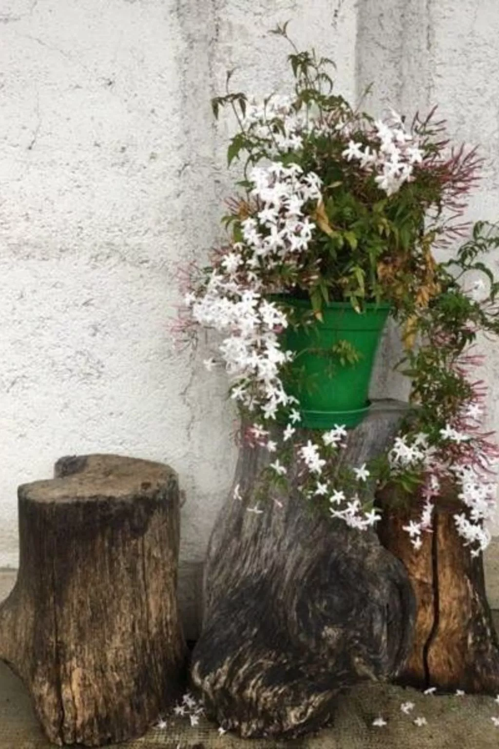 Für 5 Personen ca. 90 m&sup2; in Opatija-Pobri, Kvarner Bucht (Gespanschaft Pri-Image-tags.info