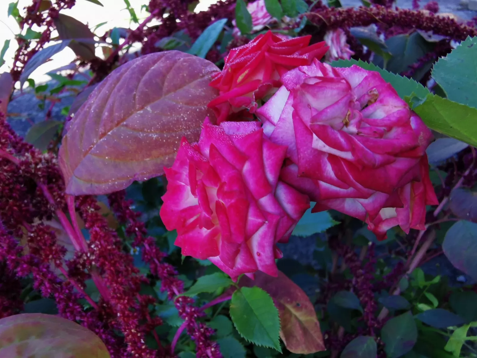 Für 4 Personen ca. 65 m&sup2; in Brod Moravice, Gespanschaft Primorje-Gorski (G-Draußen