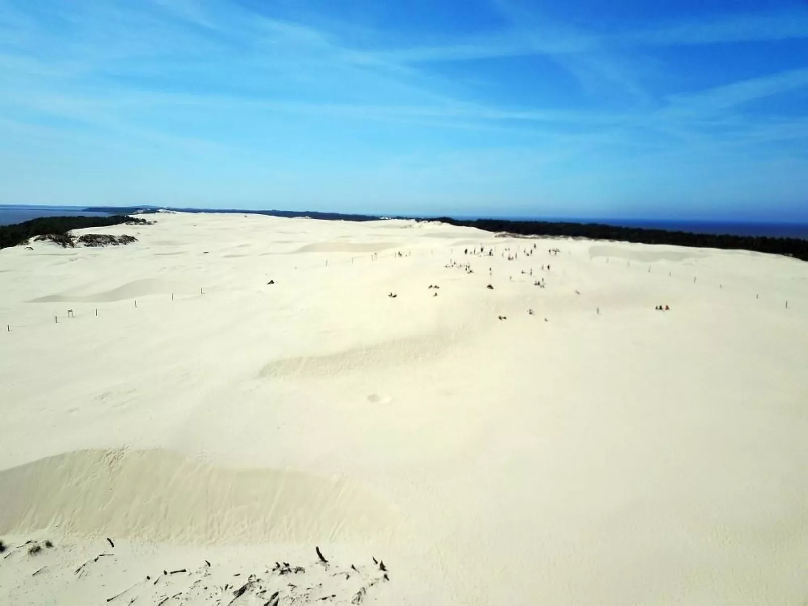 Appartement in Żarnowska mit Großem Garten-Outside