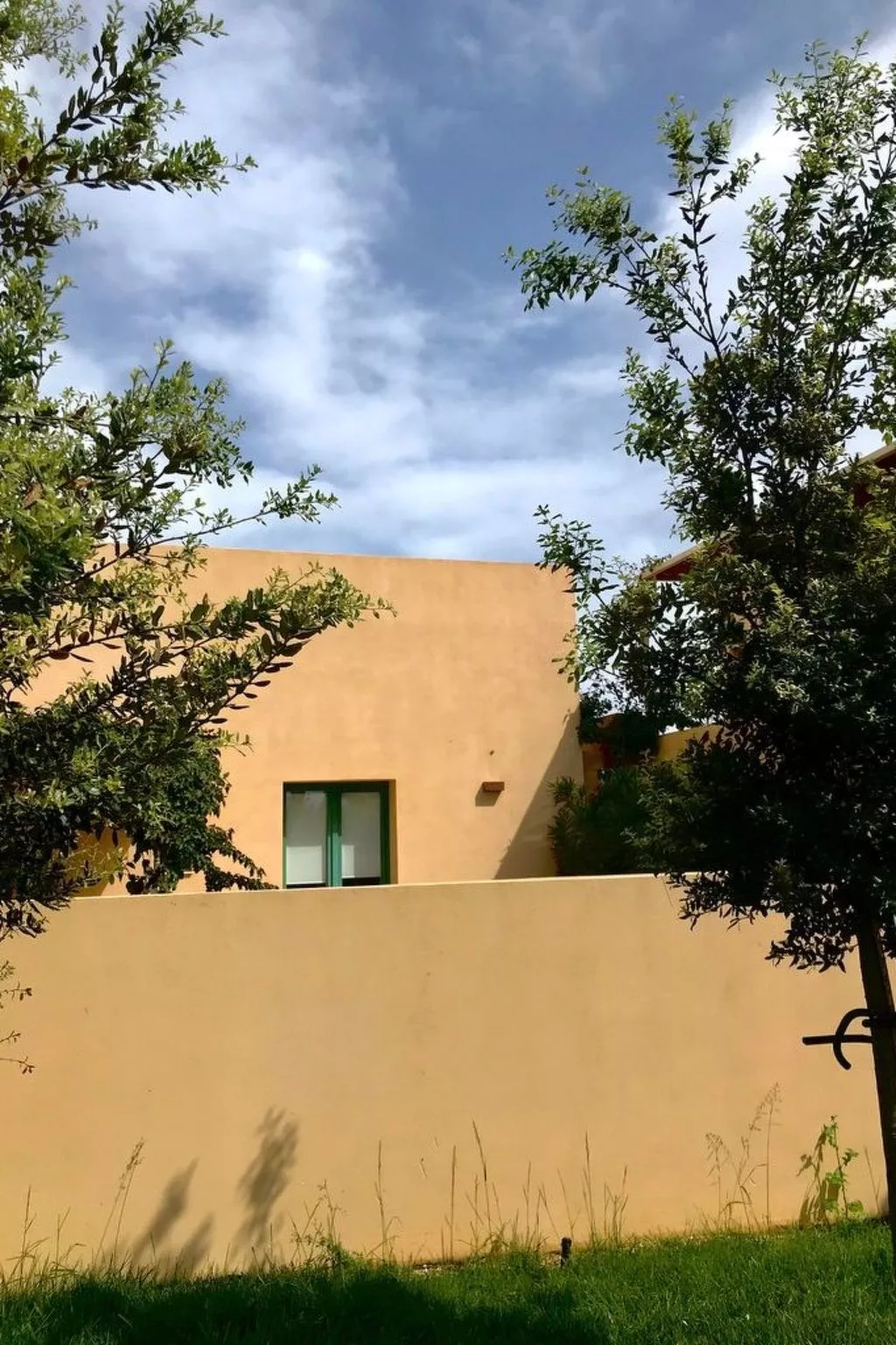 Bougainvillea-Haus in Memphis-Image-tags.info