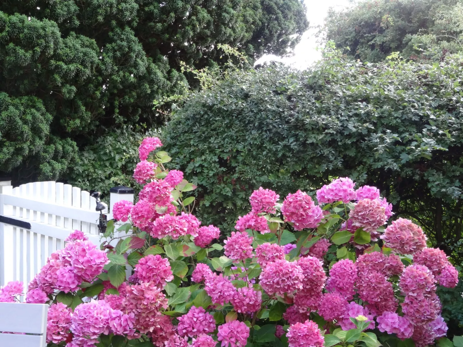 Zum Leuchtturm-Outside