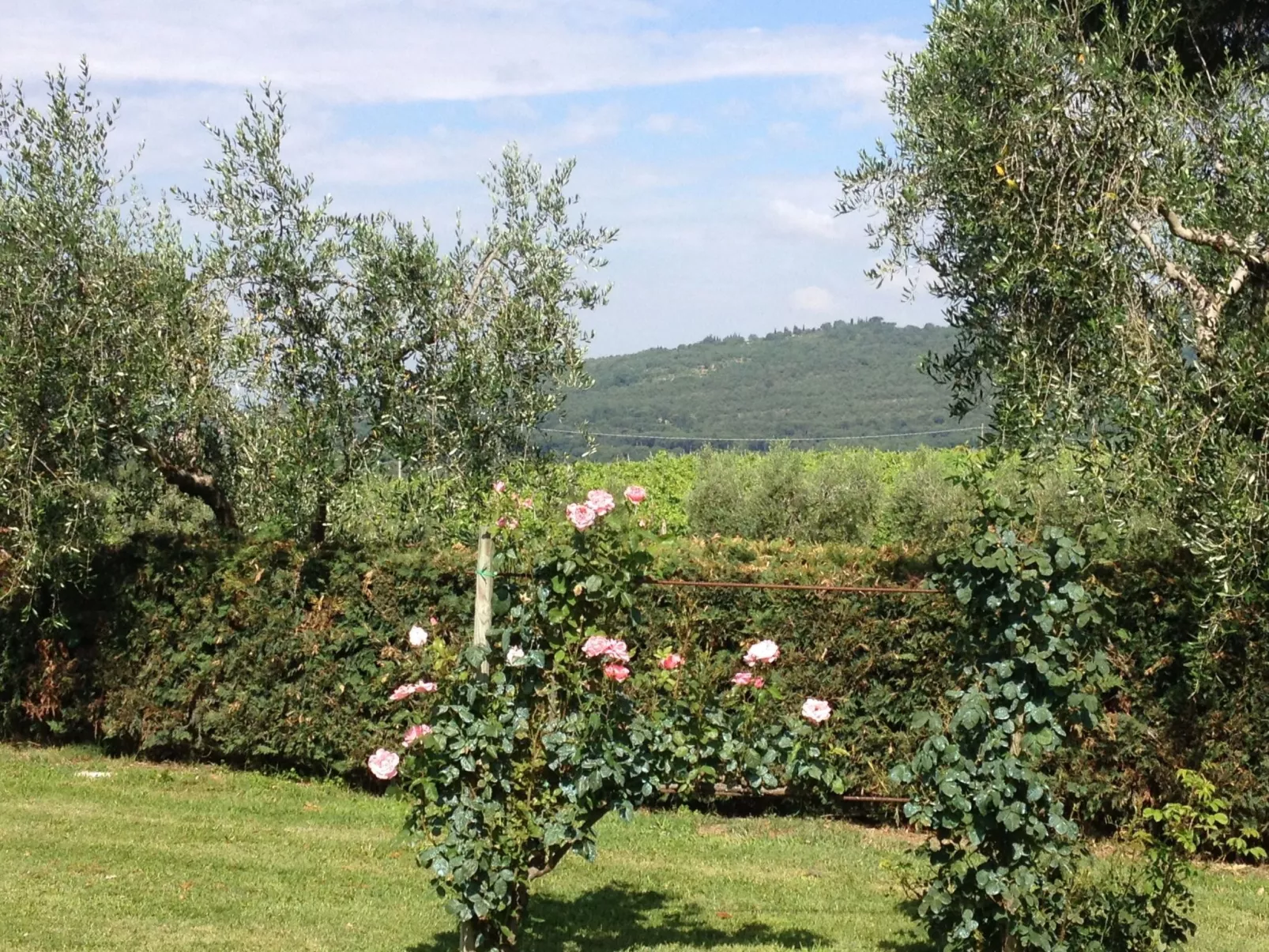 Für 3 Personen  + 1 Kind ca. 75 m&sup2; in Cortona, Toskana (Provinz Arezzo)-Image-tags.info