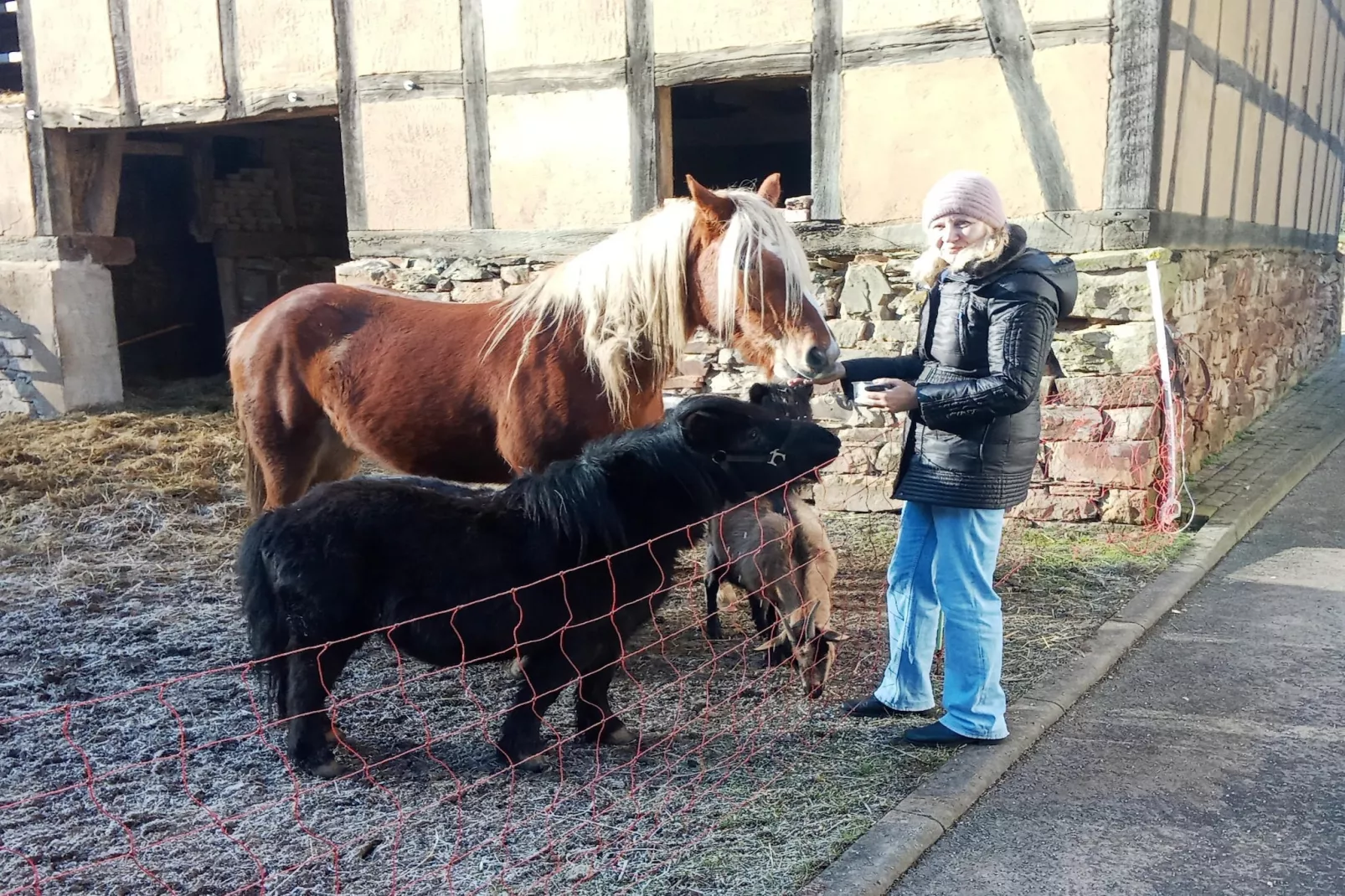 Am Ferienbauernhof - FW 7-Parkeinrichtungen