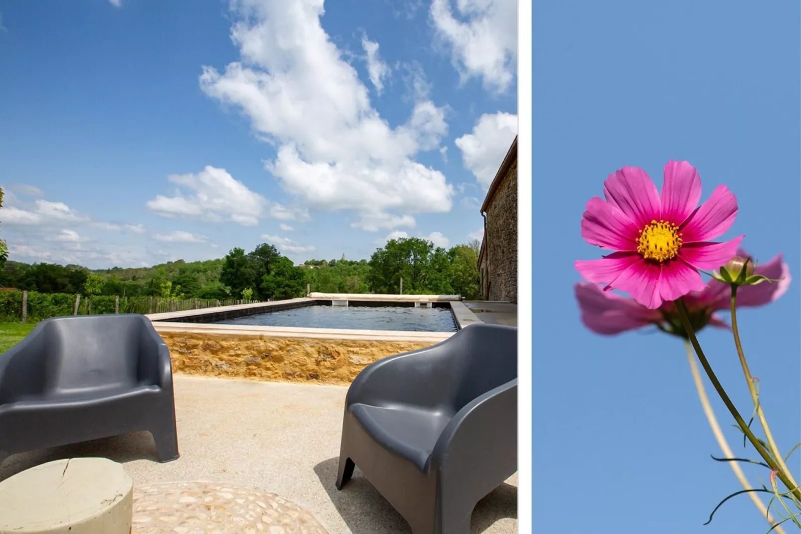 Le petit Nichoir-Swimming pool