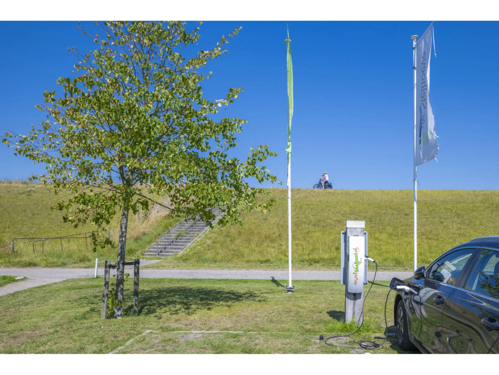 Ruisweg 45 - Image-tags.info