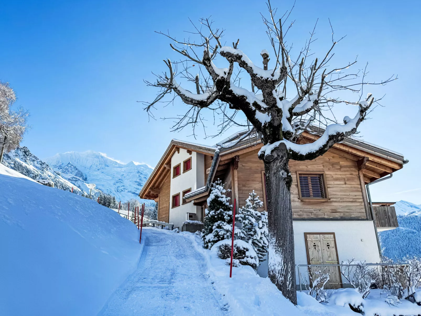 Silberhorn Apt. V-Dehors