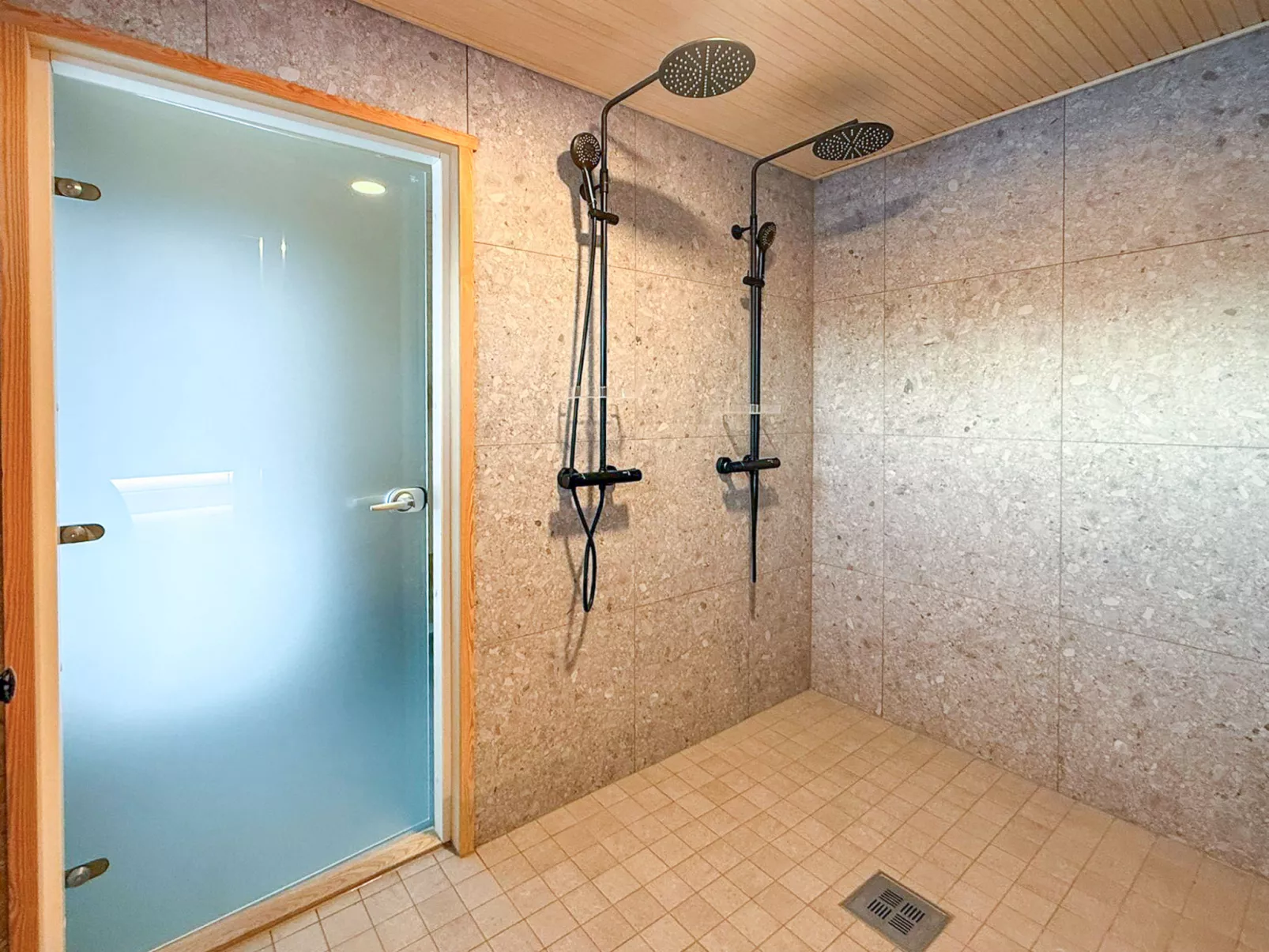 Levin hiihtäjä-Dedans