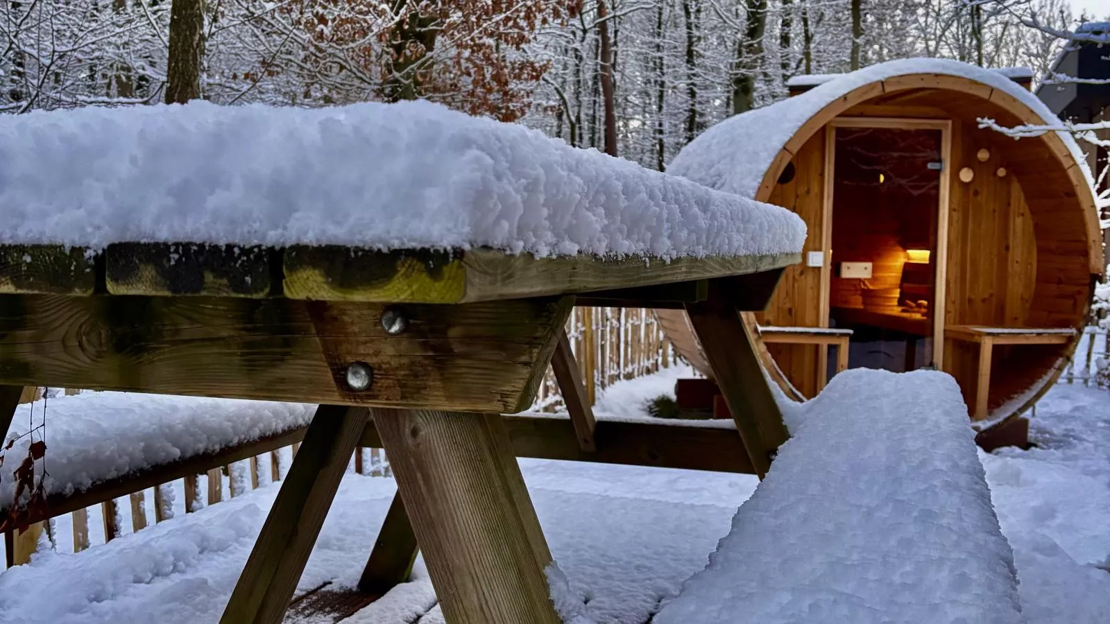 Cabin 22-Garden in winter