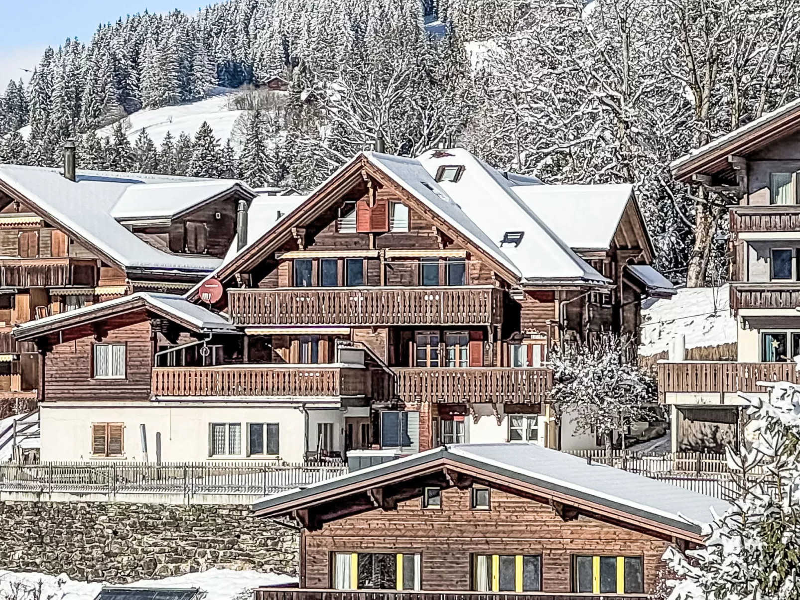 Chalet Graf Apt 1 - Draußen