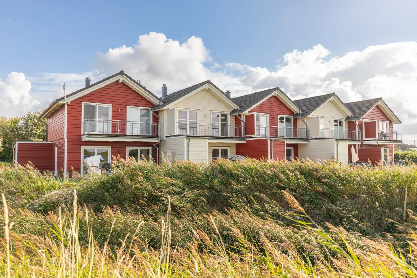 Reihenhaus in Dagebüll - Schimmelreiter