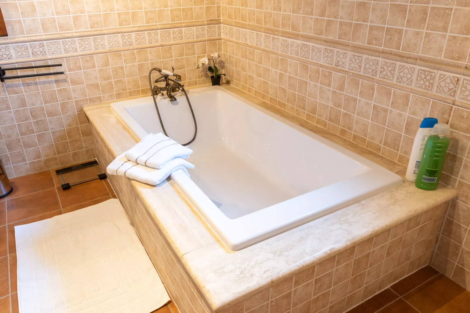 Palacio Caralluma-Bathroom