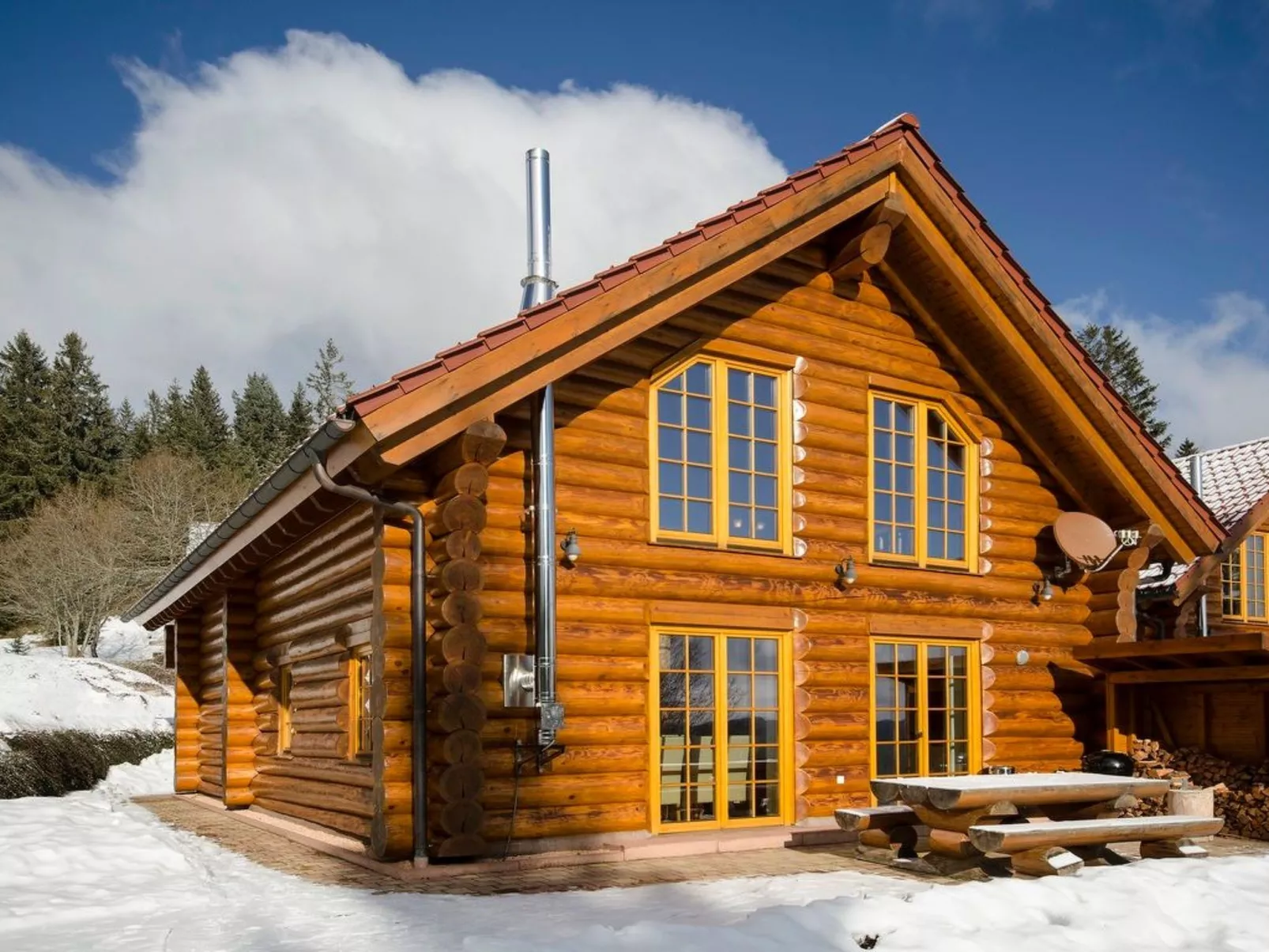 In Feldberg (Schwarzwald) mit Privatem Pool
