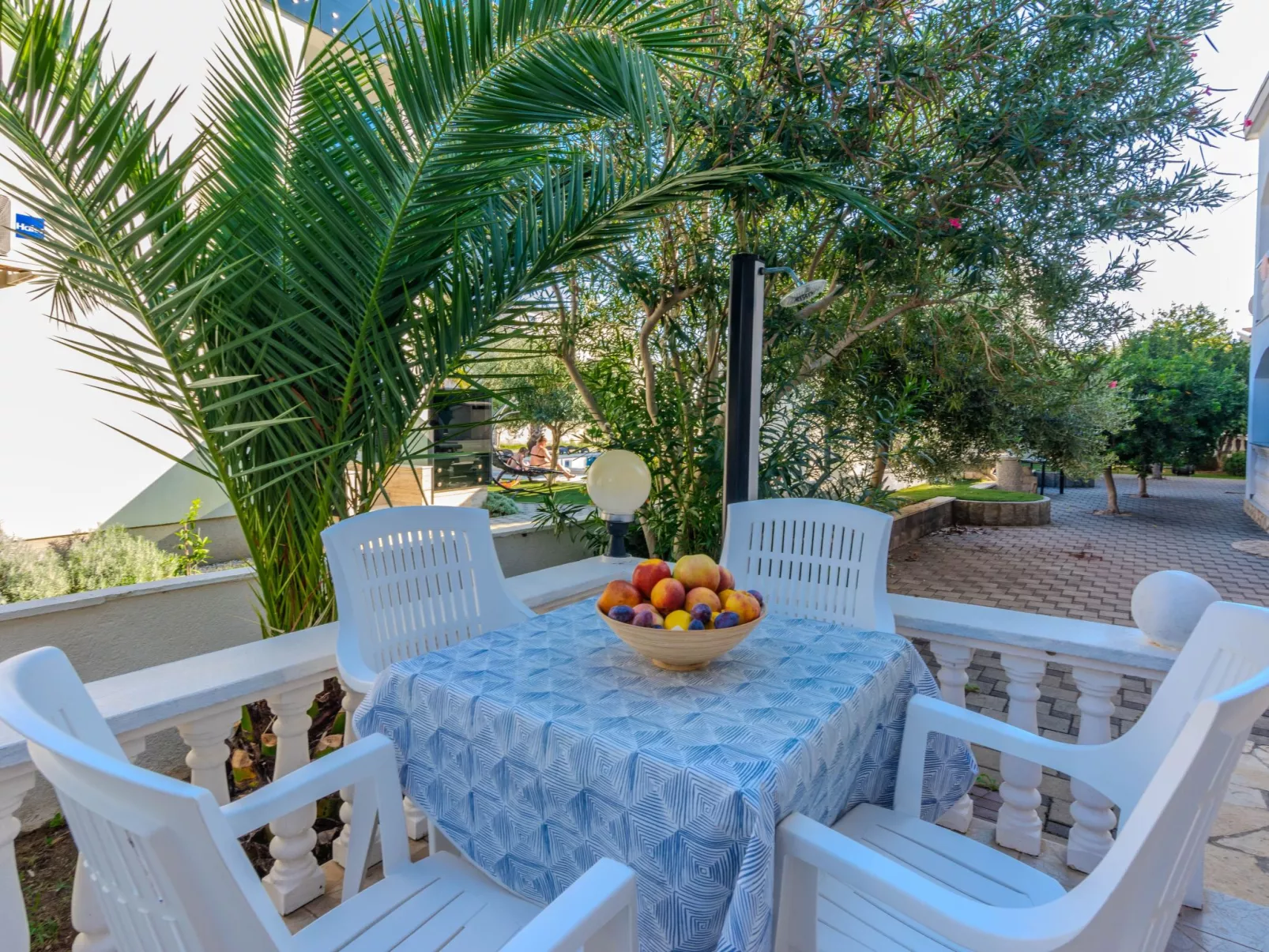 Apartment Markovic 1