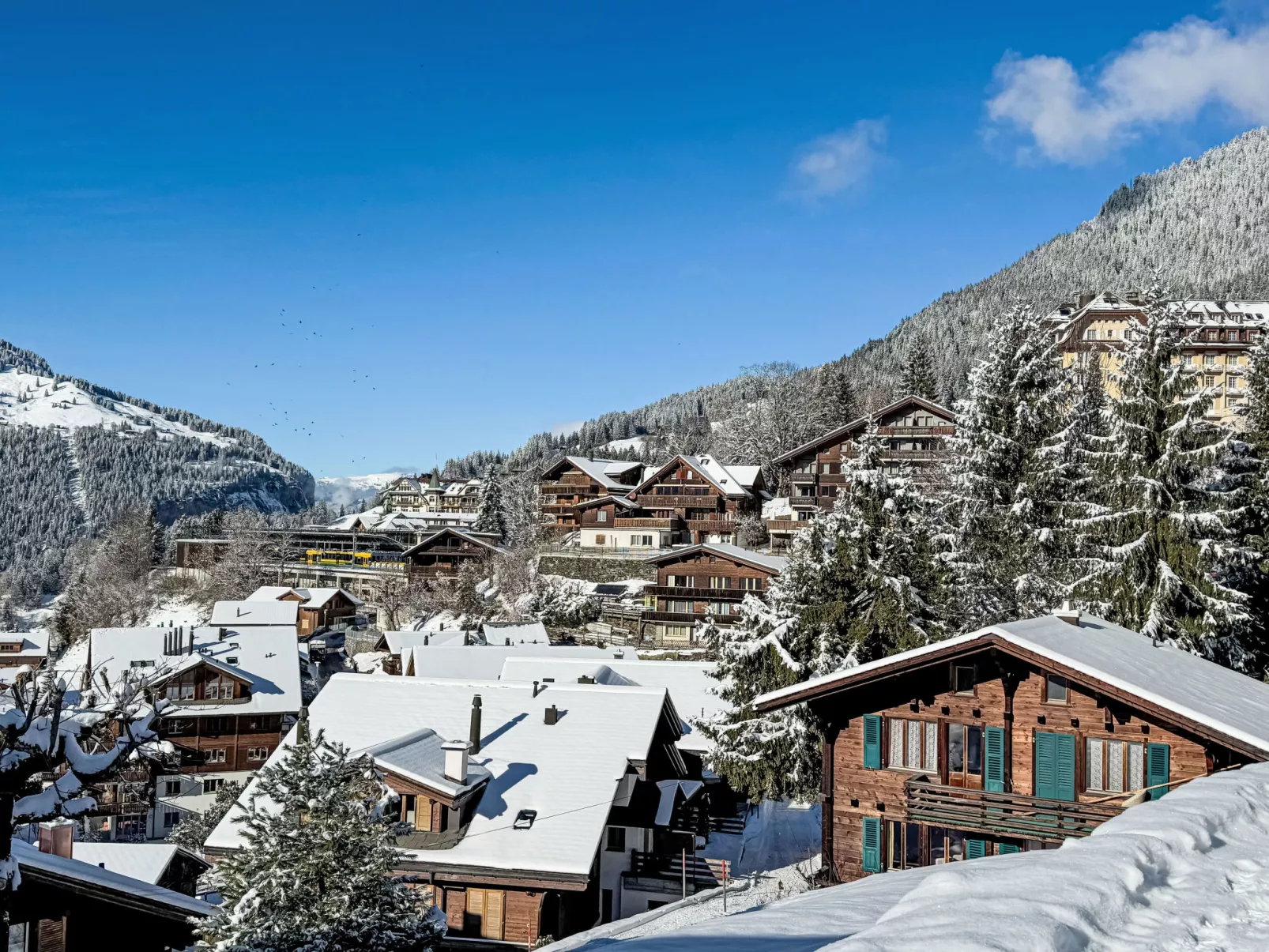 Alpina Apt. CH-Umgebung