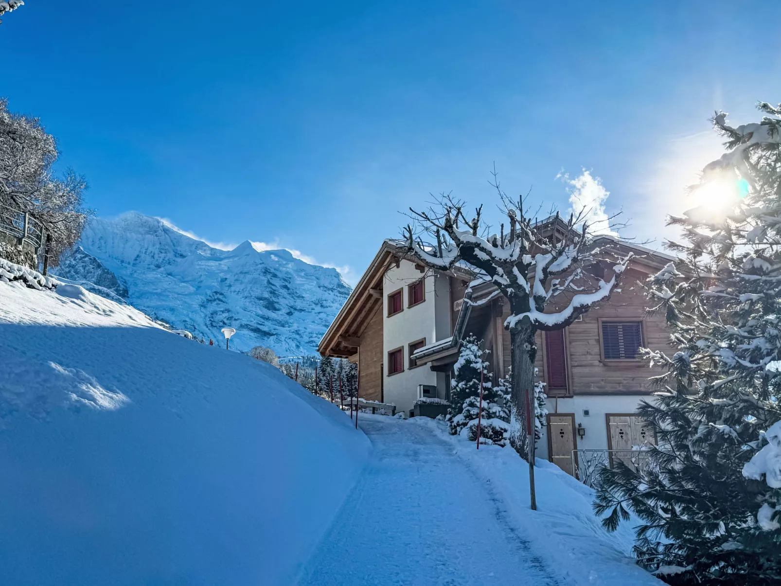 Silberhorn Apt. V-Dehors