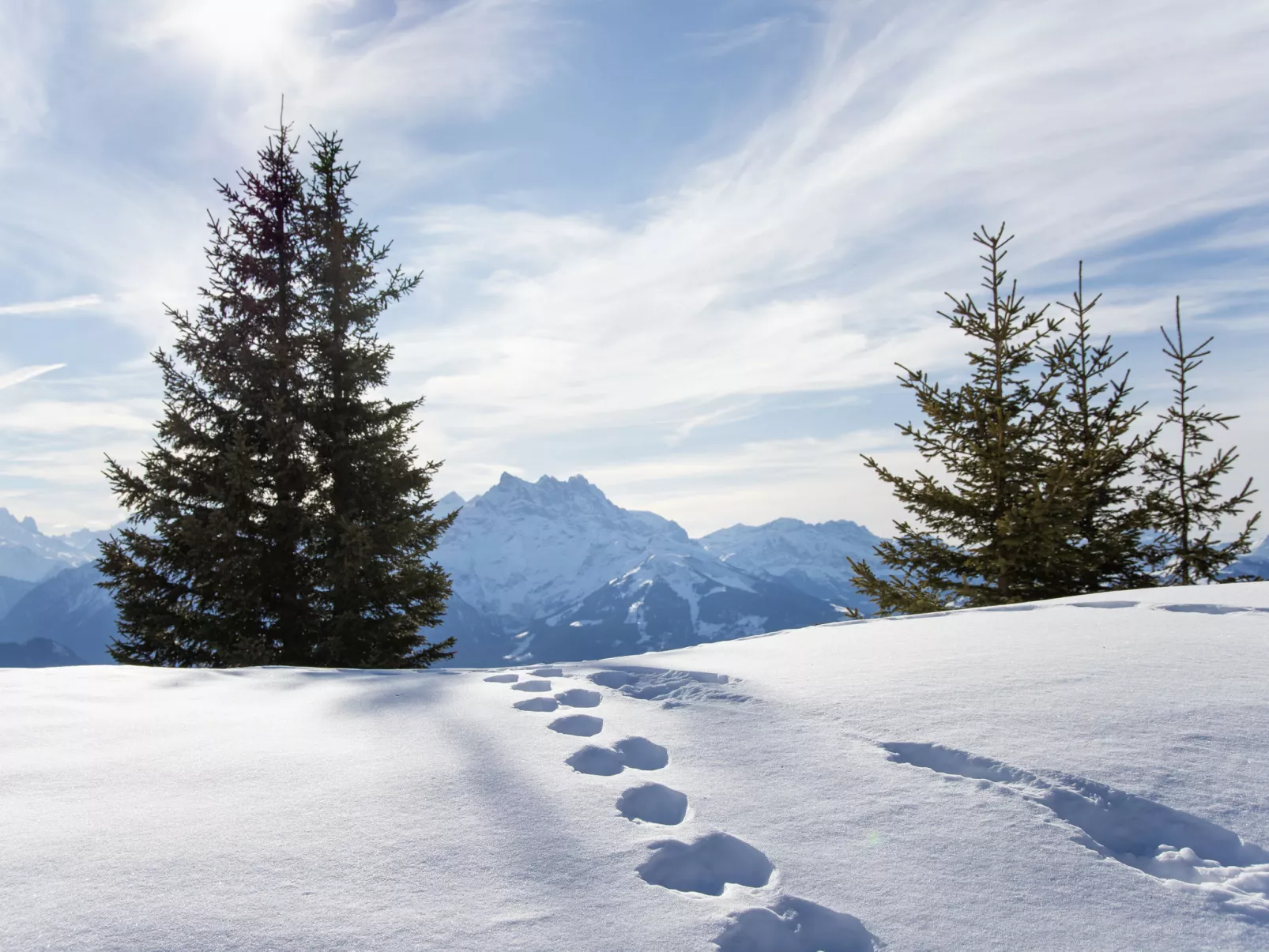 Chalet Maurice-Umgebung