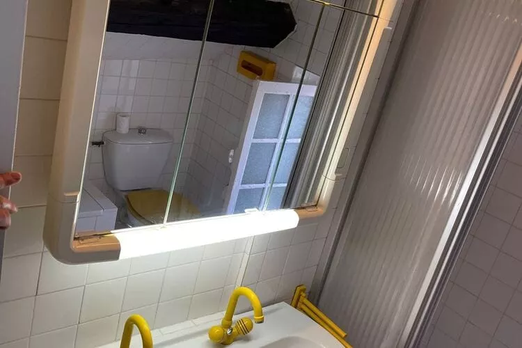 Appartement Paris 5eme-Bathroom