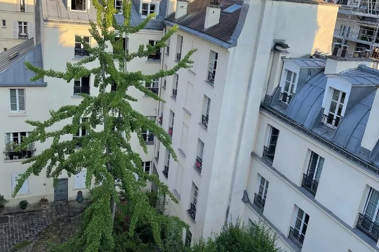 Appartement Paris 5eme-View summer