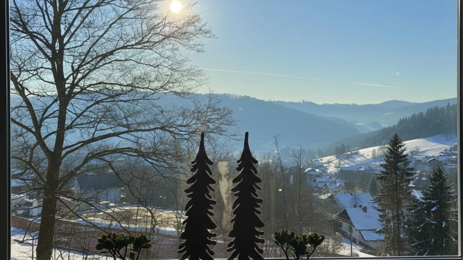 Forsthaus Heinrichsbach-Aussicht Winter