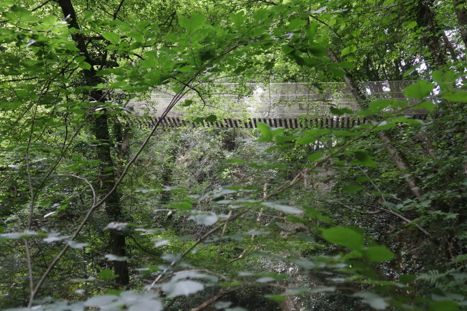 Chalet no 186 - Areas within 5km in summer