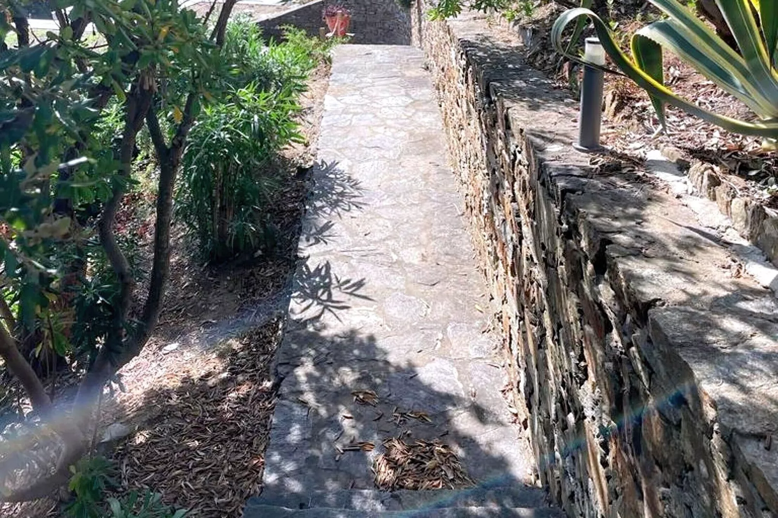 VILLA LA FOURMIGUE/ TEXIDO-Gardens summer