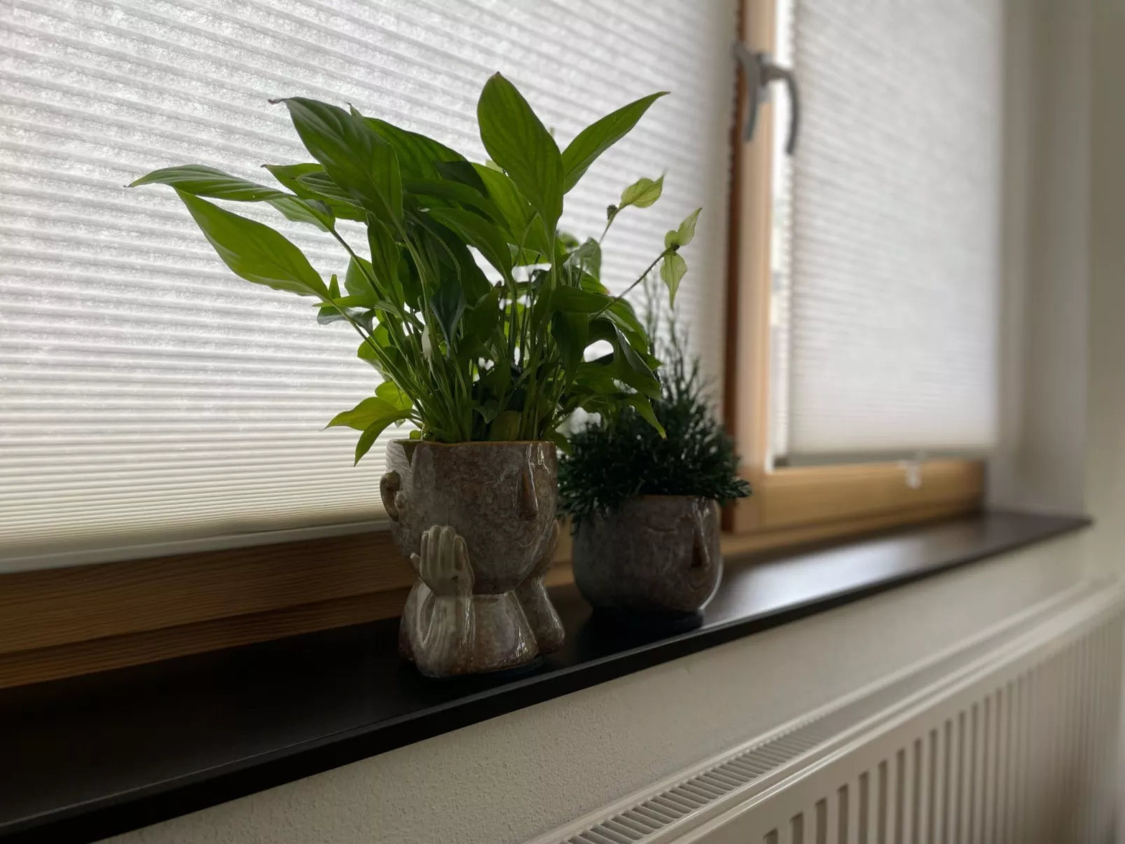 Schönes Ferienhaus in Neundorf mit Großer Terrasse