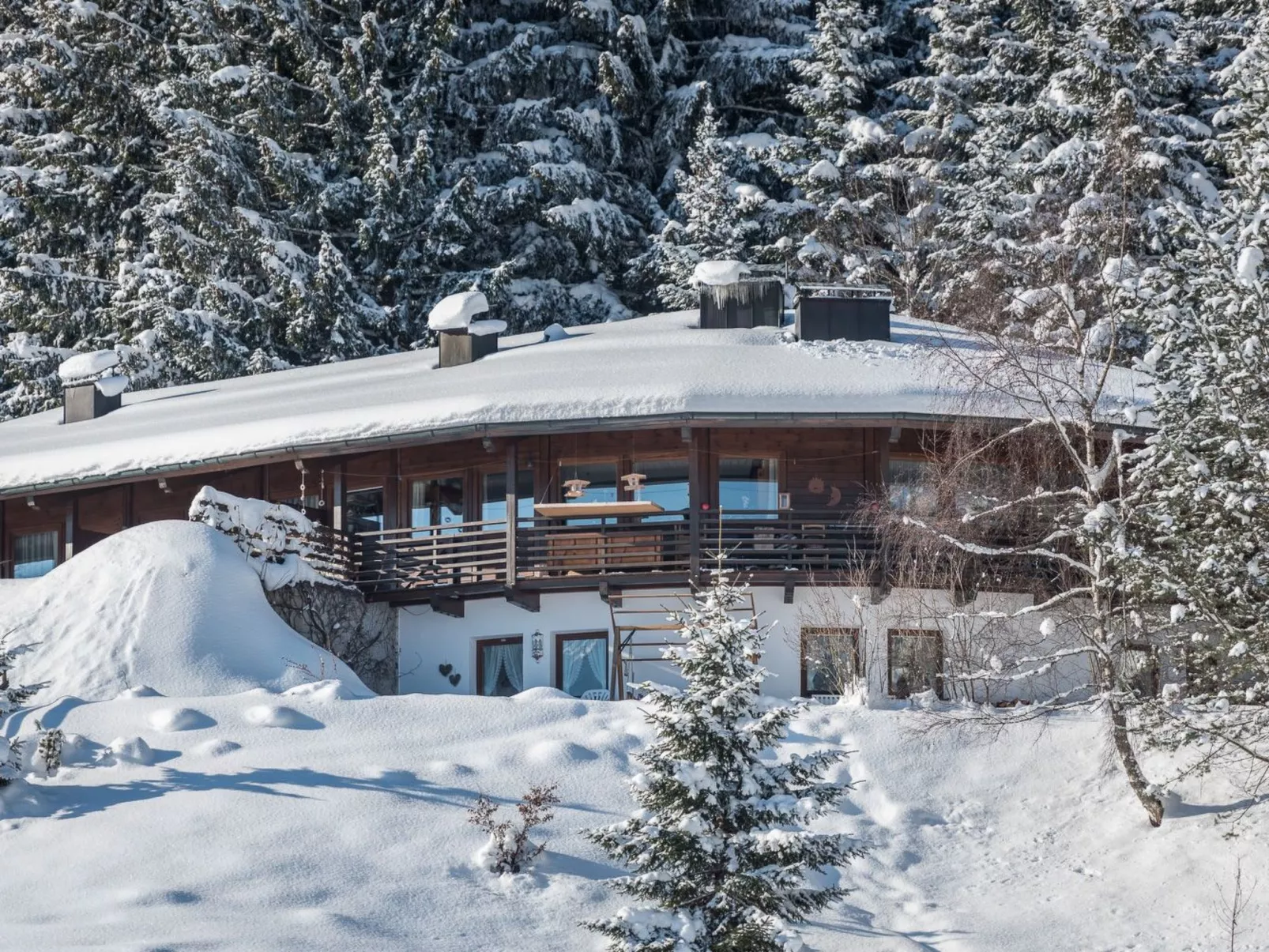 Bärenkopf supreme Studio 4