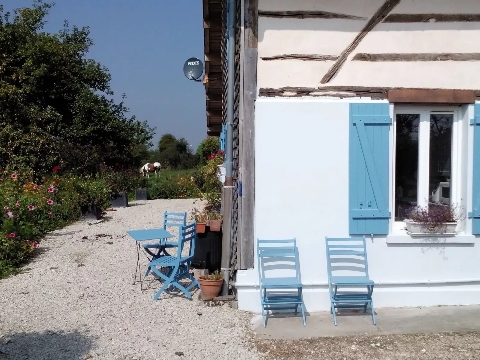 Fachwerkhaus "Charme