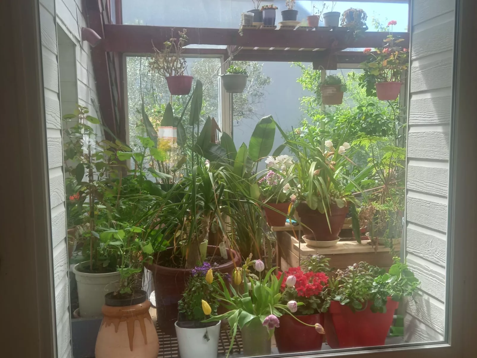 Le Paradis des Fleurs