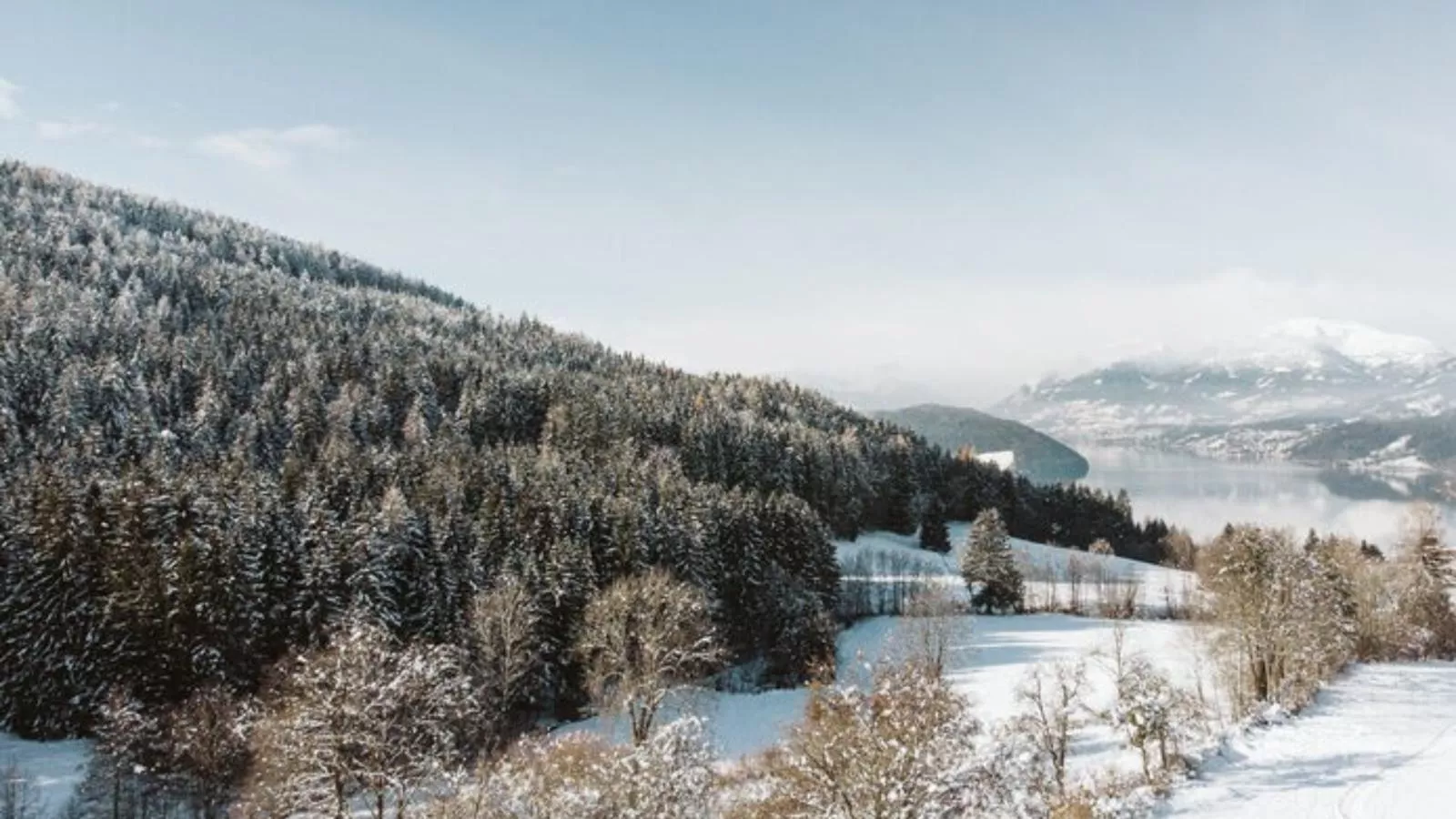 Bergchalet am See - Area within 20km in winter
