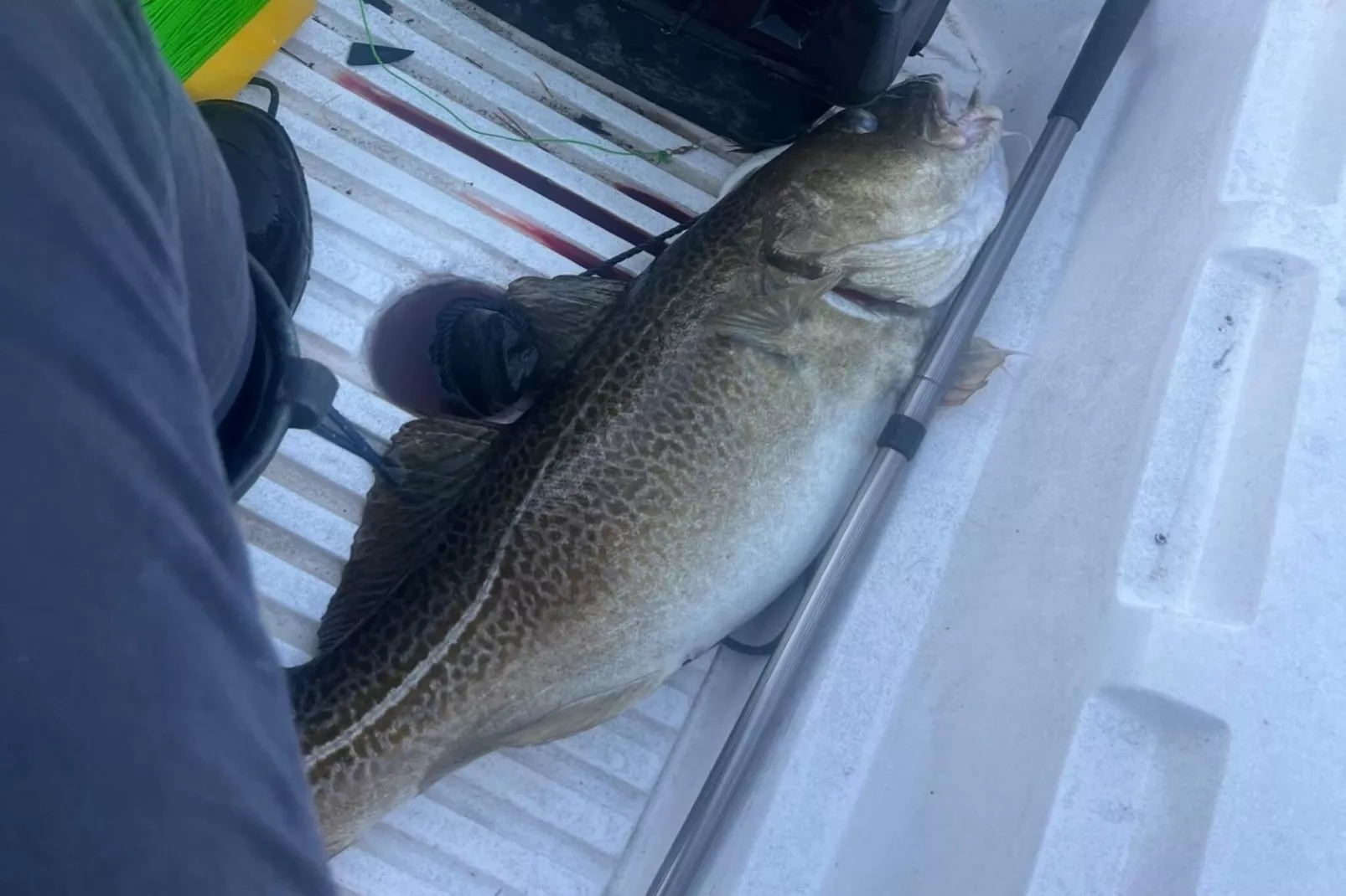 Family Oasis with Lake View-By Traum-Untagged