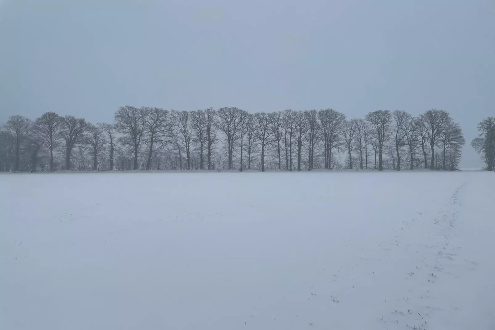 Erve Baak-Area within 1km in winter