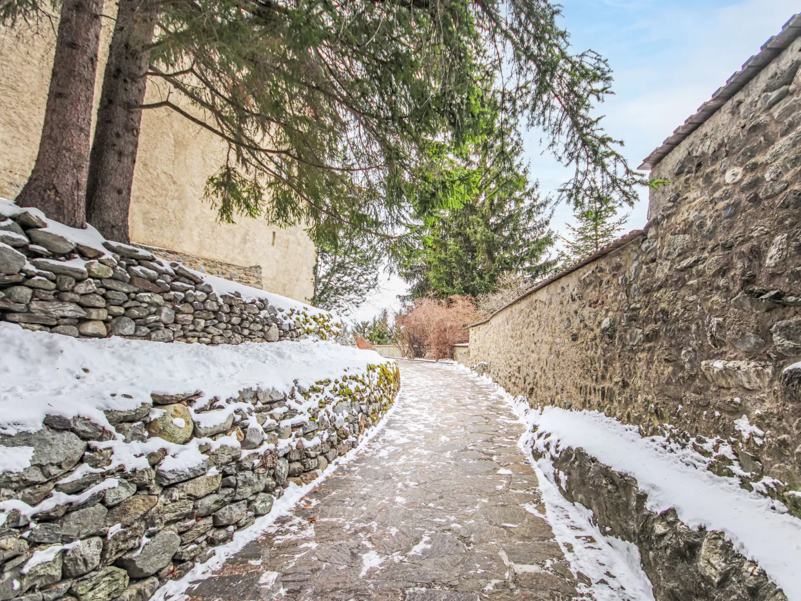 Burg Biedenegg,Trautson-Dedans