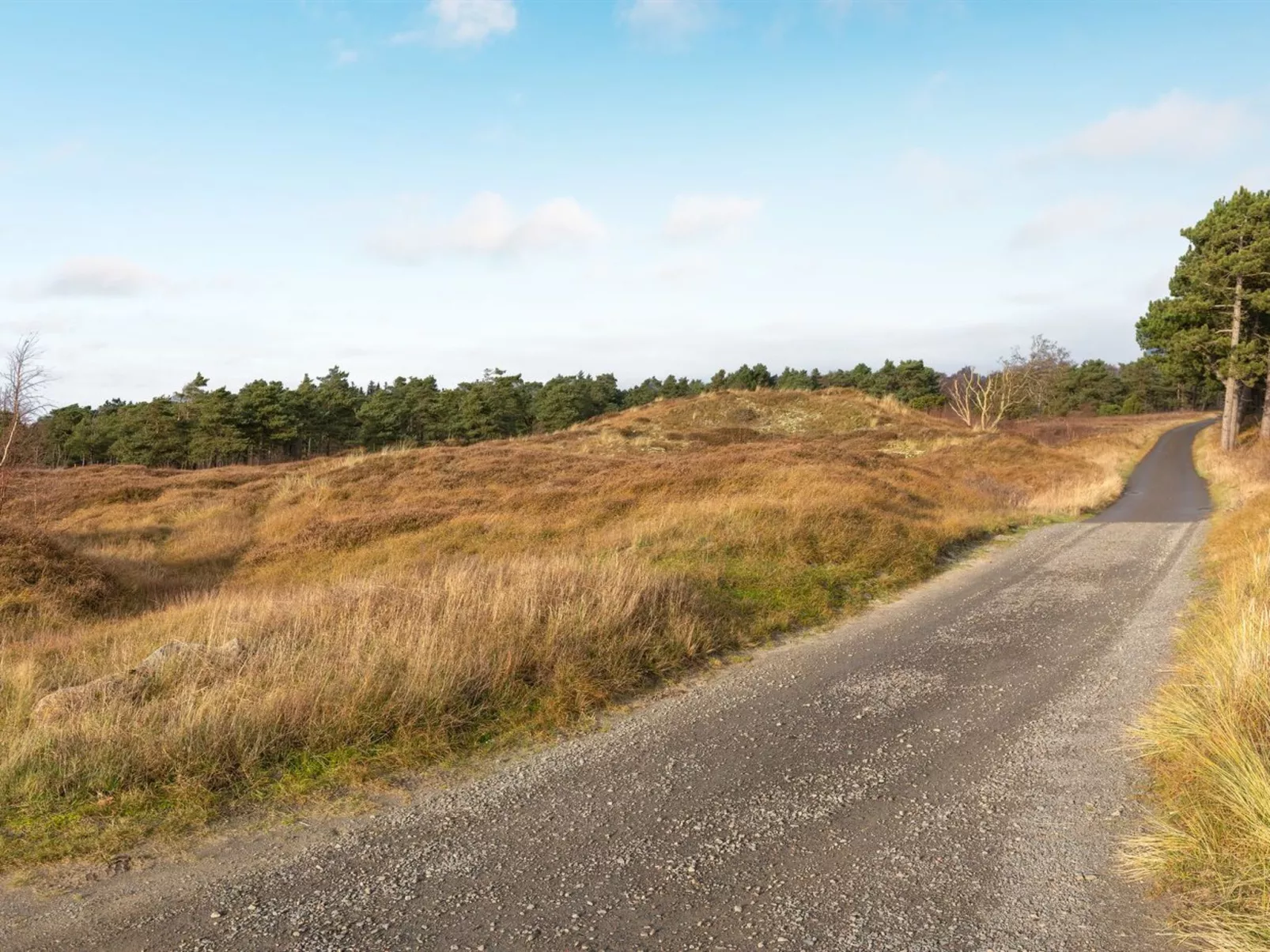 "Nikoletta" - 250m from the sea