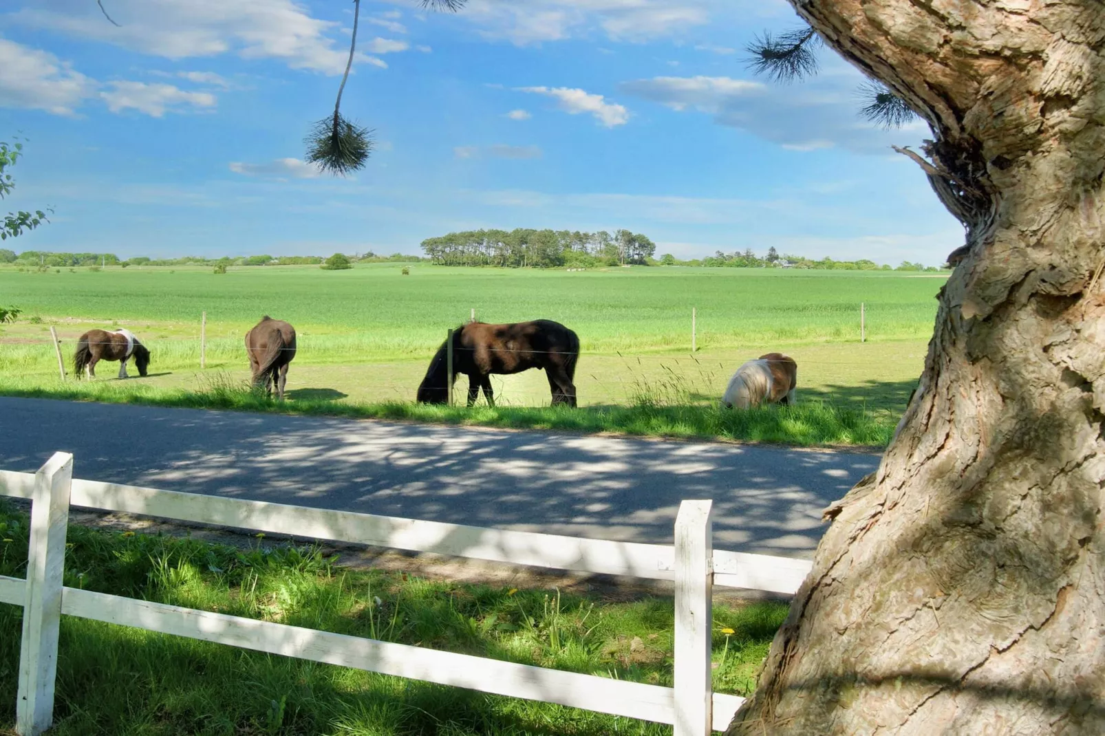 5 Personen Ferienhaus in Gilleleje-By Traum