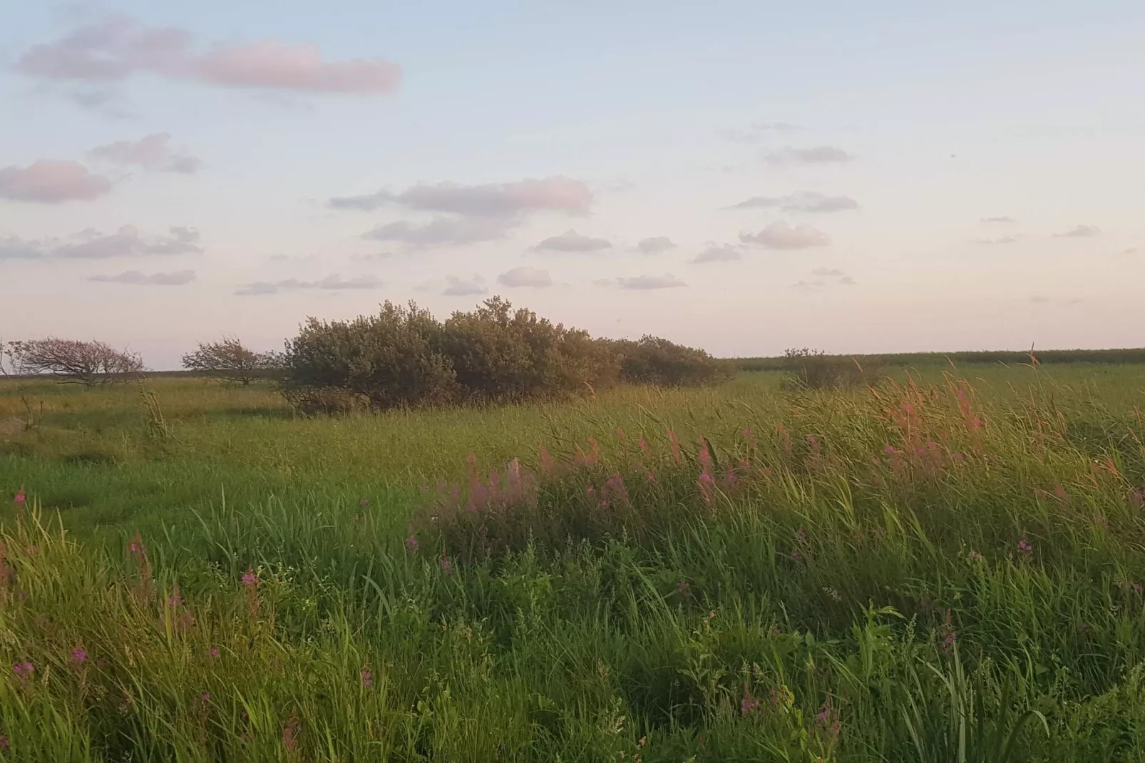 8 person holiday home in Skjern-By Traum - Untagged