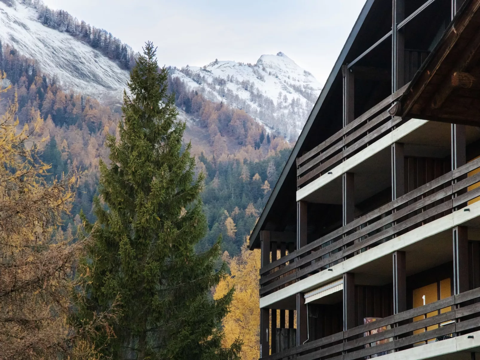 Centaure B CO 1-Dehors