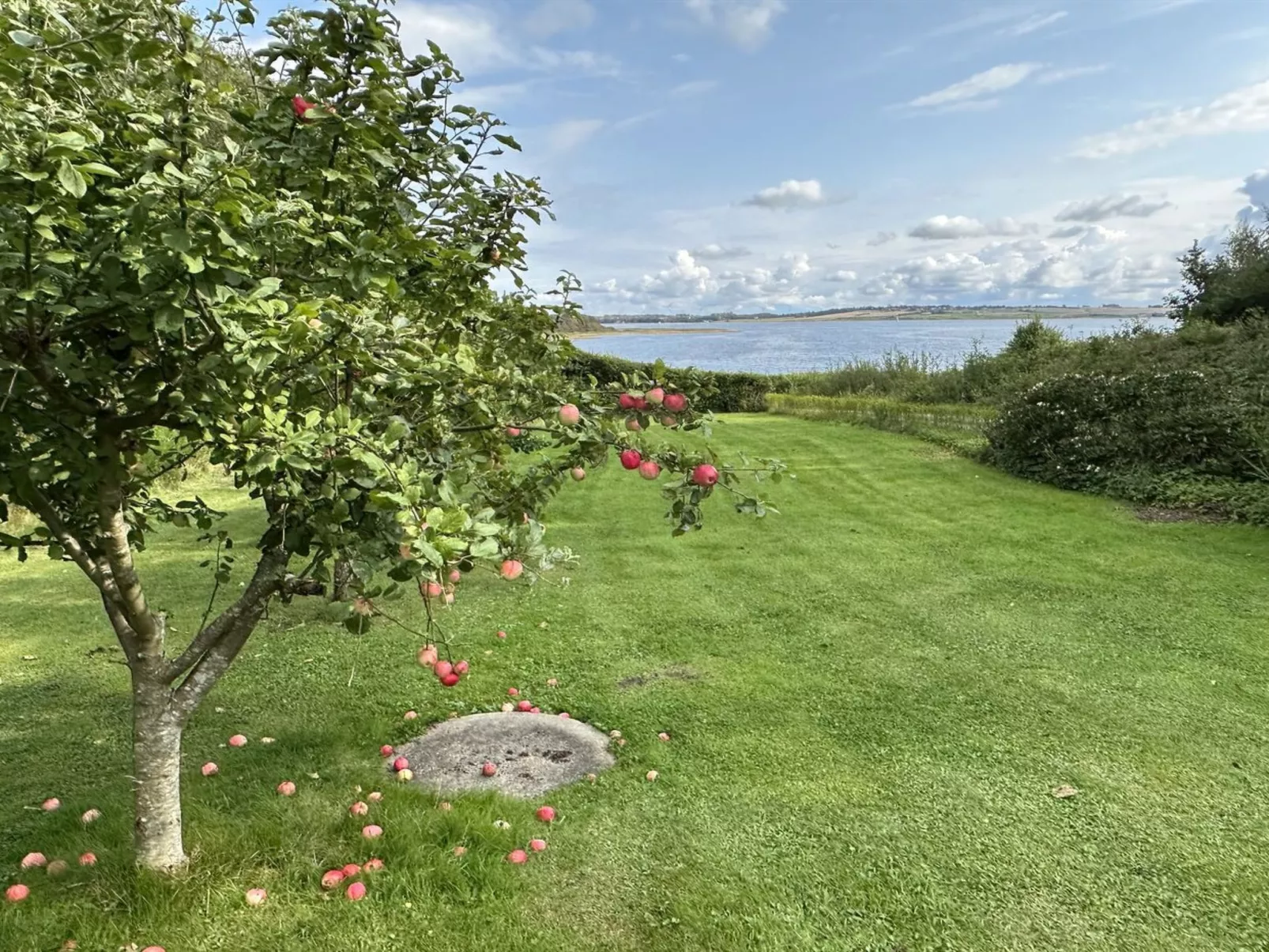 "Nico" - 70m to the fjord