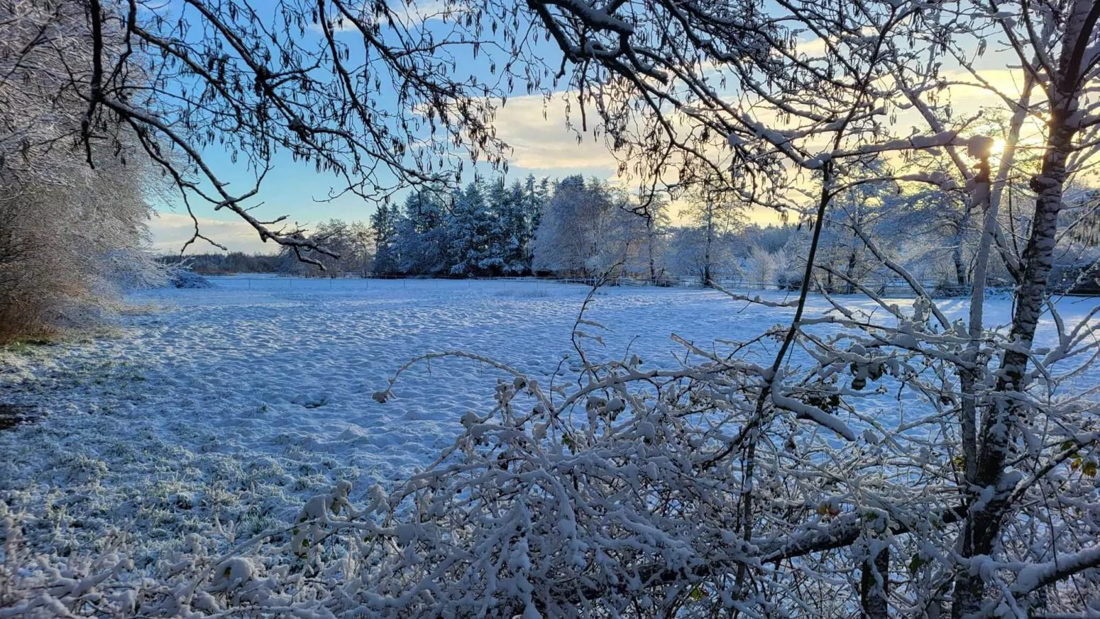 Uilenhof-Area within 1km in winter