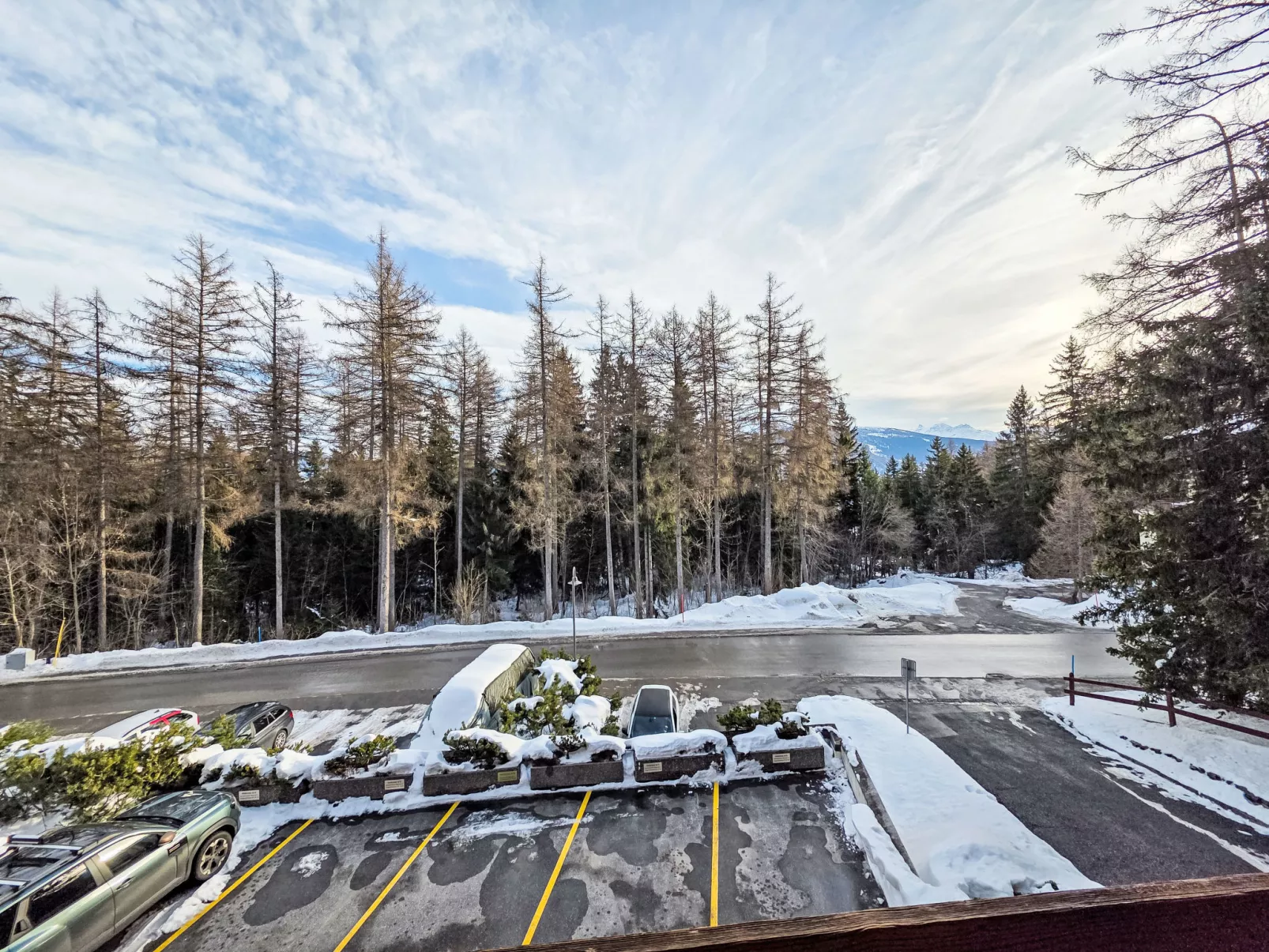 Reseda 3.23-Draußen