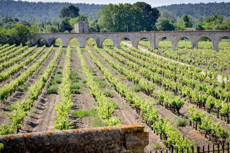 Résidence du Château de Jouarres - Azille // Studio 2 pers-Areas summer 5km
