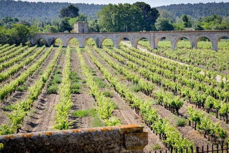 Résidence du Château de Jouarres - Azille // Apt 3 P 6 pers-Areas summer 5km