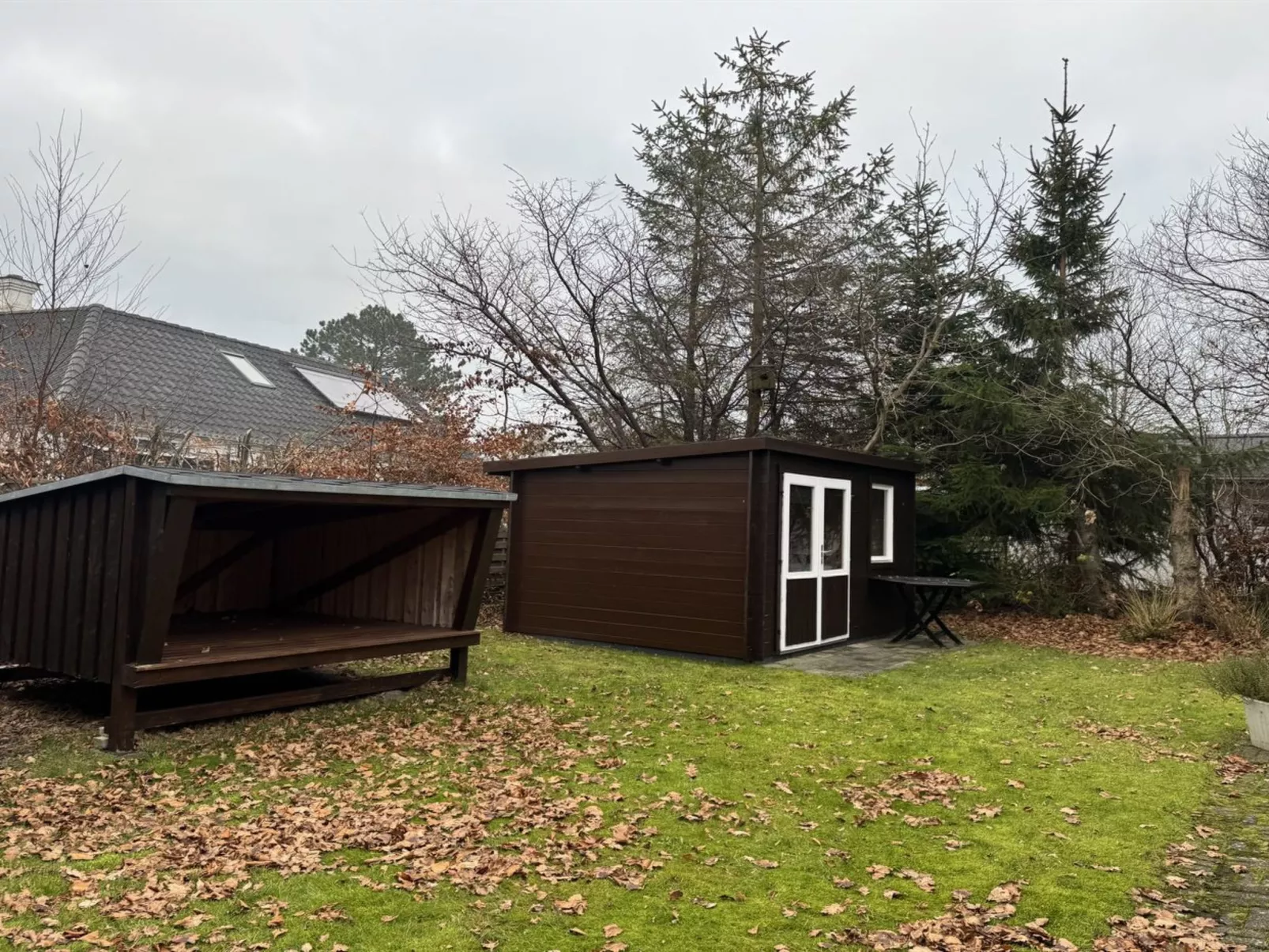 "Diertje" -  from the sea