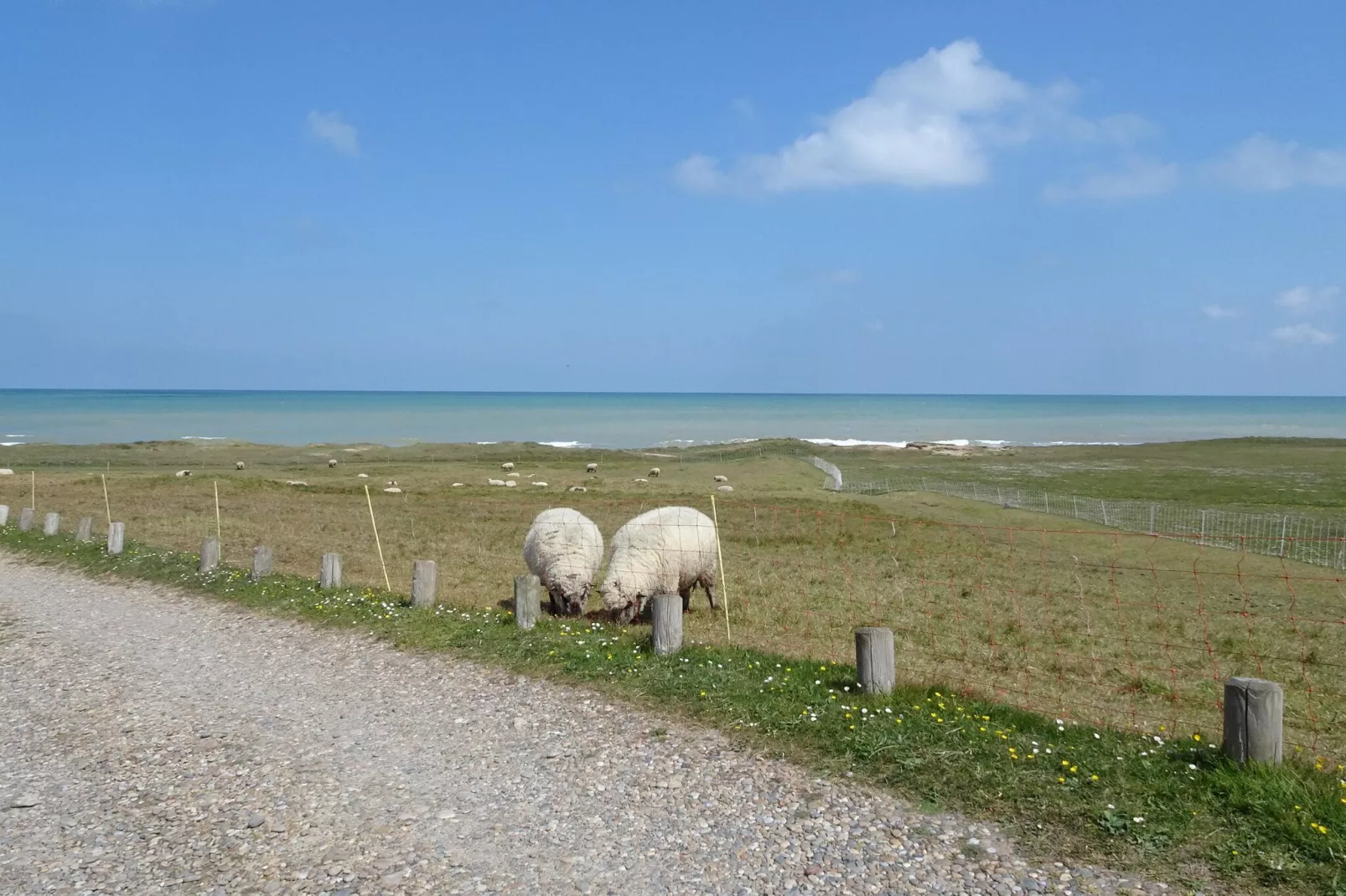 Holiday flat in Arromanches-les-Bains-Gebiete Sommer 5 km